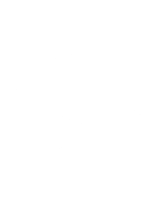 logo weiss